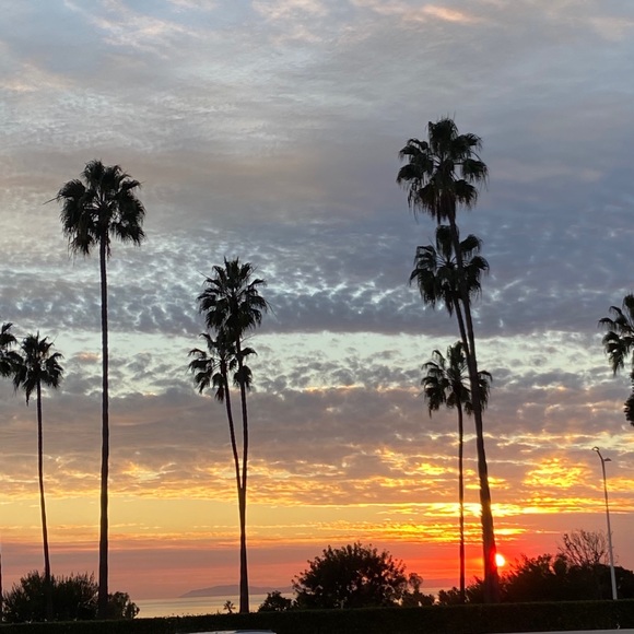 Meet your Posher, Sara - Picture 1 of 1